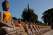 Ayutthaya, Thailand. Wat Yai Chai Mongkhon, saffron-draped Buddha statues inside the temple compound. 